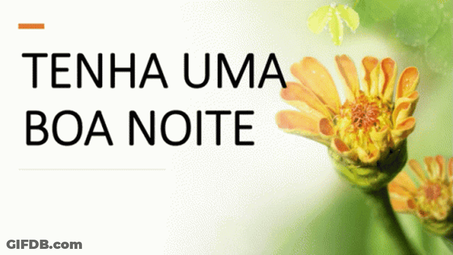 Boa Noite Tenha Uma GIF