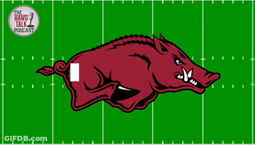 Boar On Football Field With Safety Text GIF