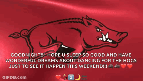 Boar Saying Goodnight Hope You Sleep So Good And Have Wonderful Dreams About Dancing GIF