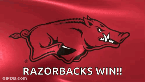 Boar Saying Razorbacks Win GIF
