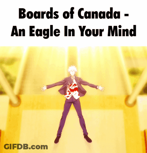 Boards Of Canada Eagle Poster GIF