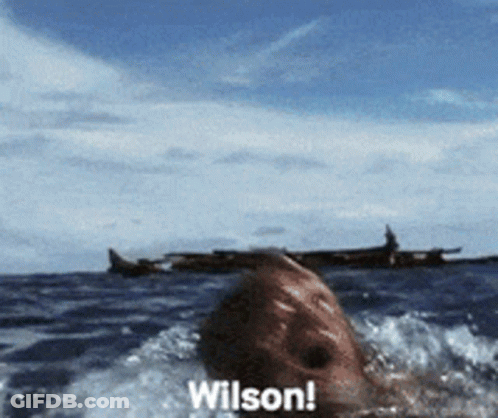 Boat In Ocean Saying I'm Sorry I'm Sorry Wilson GIF