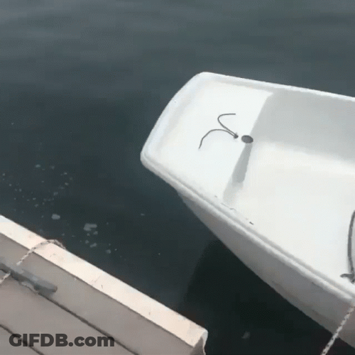Boat Motor Legs GIF