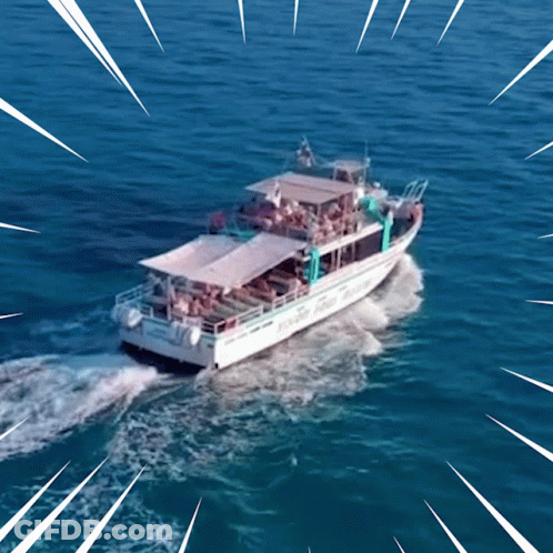 Boat Saying Dolphin GIF