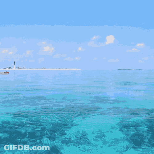Boat Sea GIF