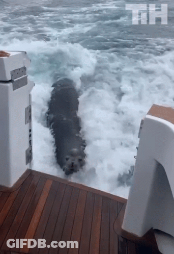 Boat With Letters TH GIF