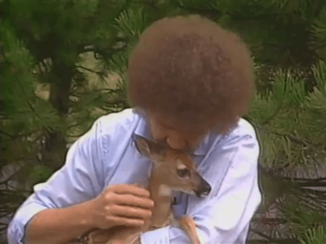 Bob Ross Feel Good Petting Baby Deer GIF