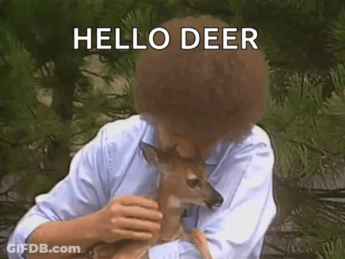 Bob Ross Holding Deer Hello Deer GIF