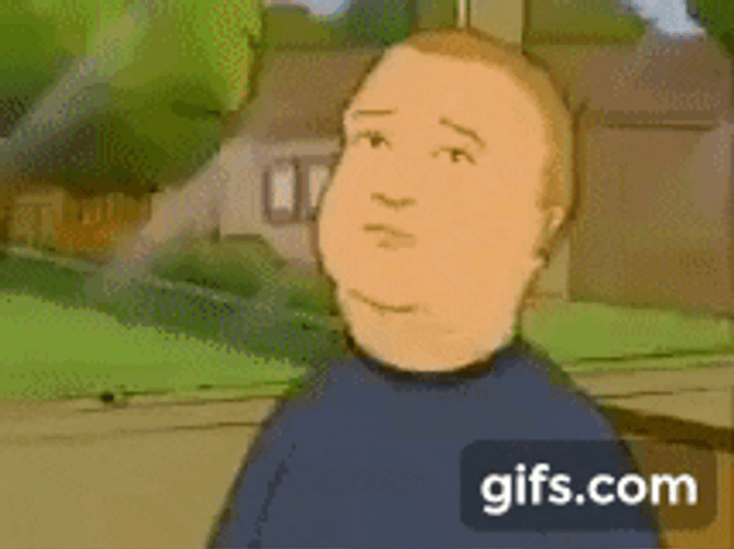 Bobby Hill Staring Flie GIF