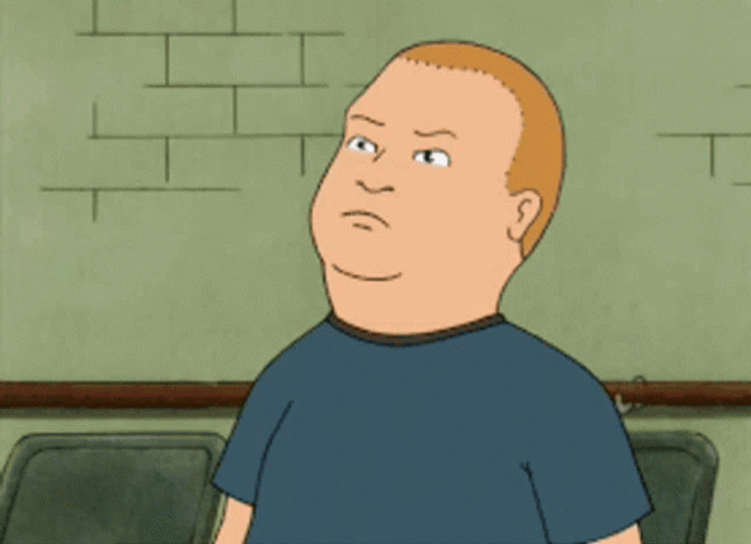Bobby Hill That's My Purse GIF