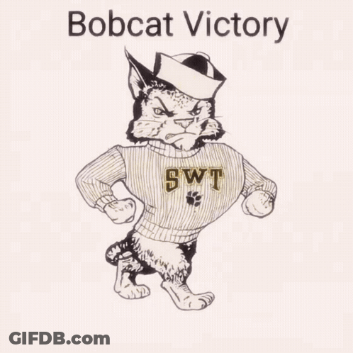 Bobcat Wearing Sweater Saying SWT GIF