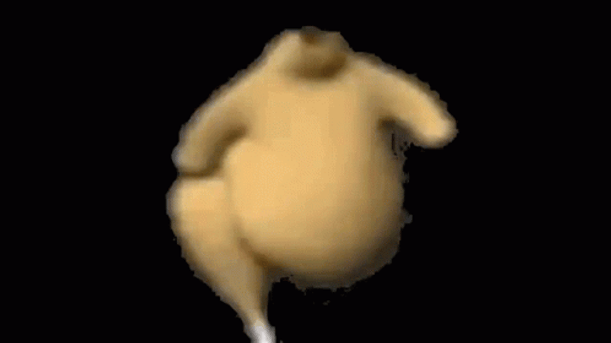 Body Of Chicken Run GIF