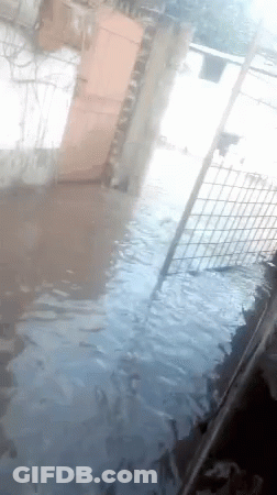 Body Of Water Surrounded By Fence And Building GIF