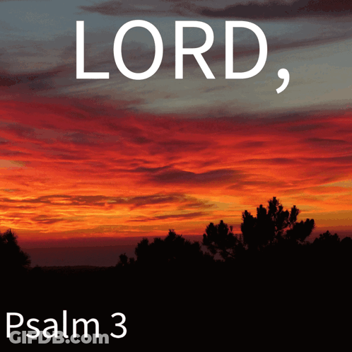 Body Of Water With Psalm 42 GIF