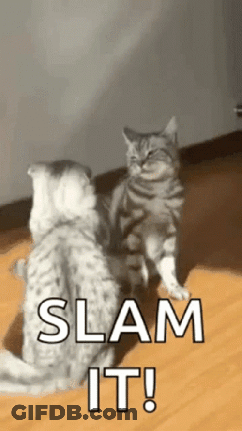 Body Slam GIF