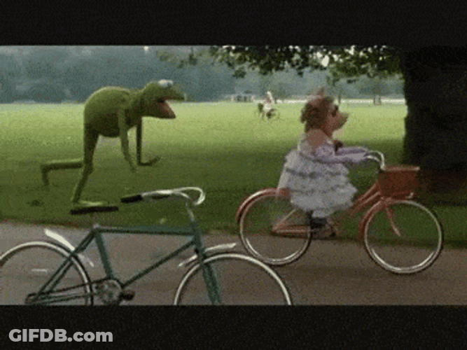 Boi Kermit The Frog Muppet GIF