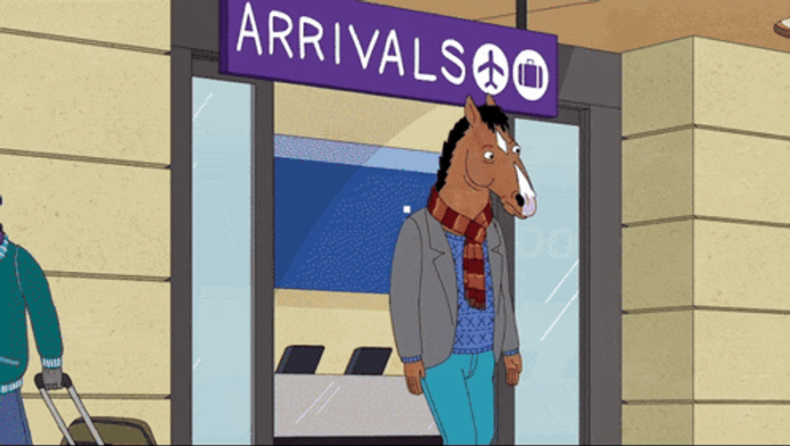 Bojack Bojack Horseman GIF
