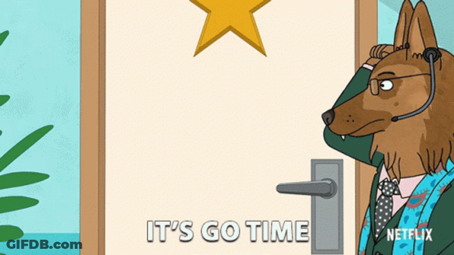 Bojack Horseman It's Go Time GIF