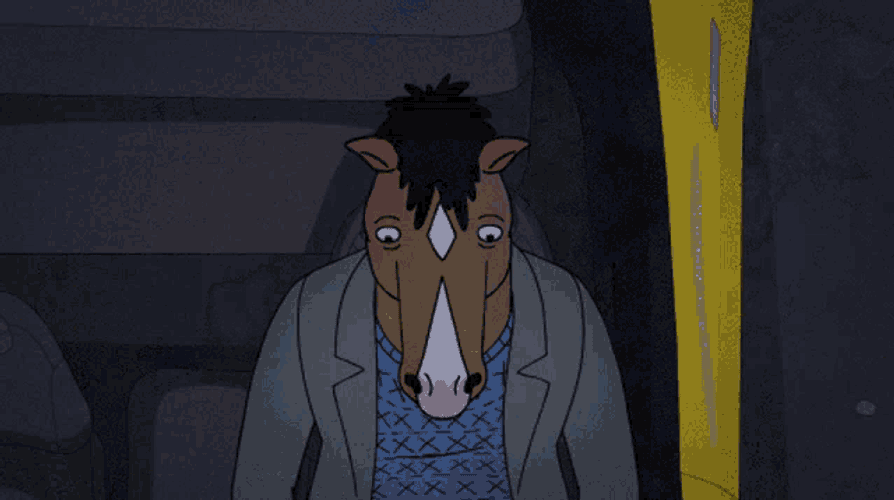 Bojack Horseman Sad GIF
