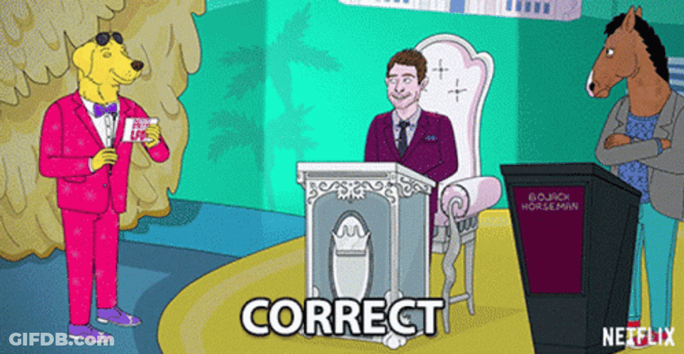 BoJack Horseman Show Correct GIF