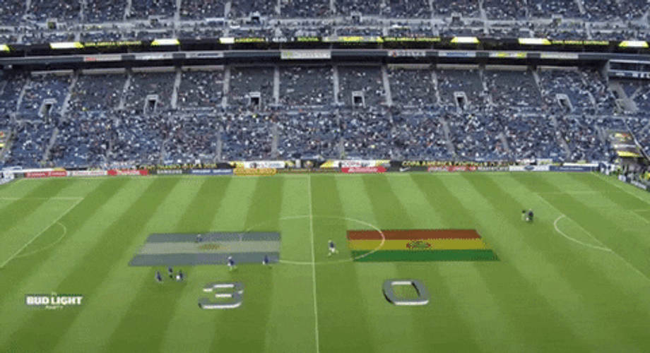 Bolivia Football Field GIF