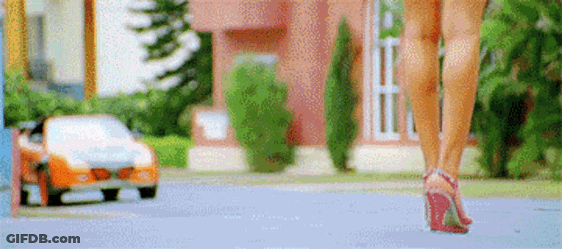 Bollywood Man Flipping Car Flower GIF