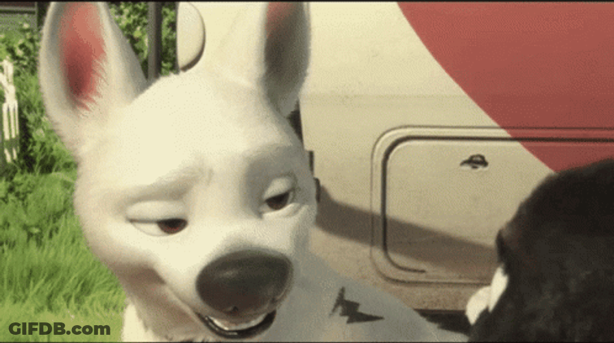 Bolt Animated Dog GIF