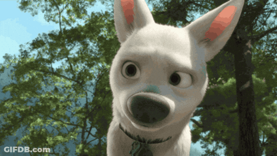 Bolt Moving Its Ears Disney GIF