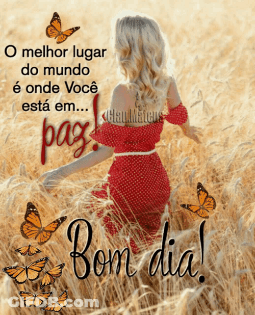 Bom Dia Butterflies Woman GIF