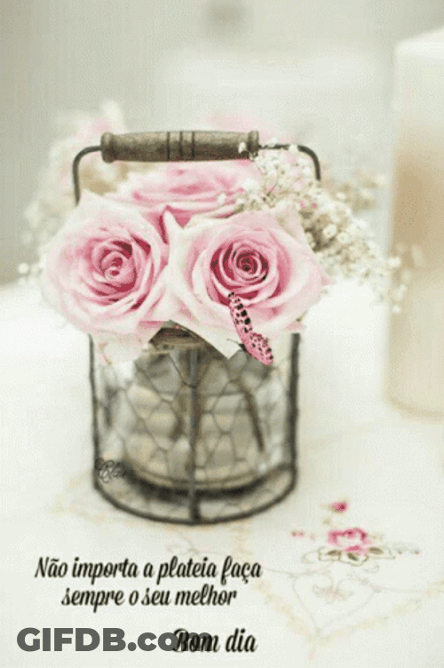 Bom Dia Pink Flowers Lantern GIF