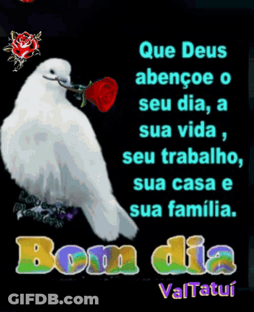 Bom Dia White Dove Love GIF