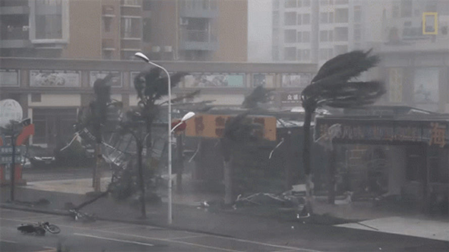 Bomb Cyclone Featuring Fallen Trees And Damaged Store GIF