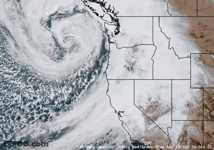 Bomb Cyclone Going To Northeast GIF