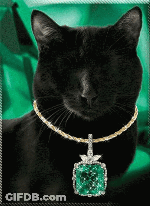 Bombay Cat Emerald Jewelry GIF