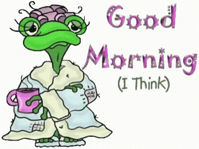 Bon Matin Humor Good Morning Tuesday GIF