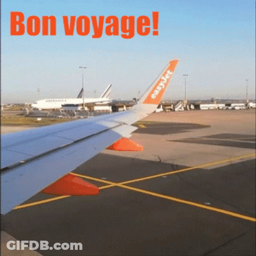 Bon Voyage Airplane Taking Off GIF