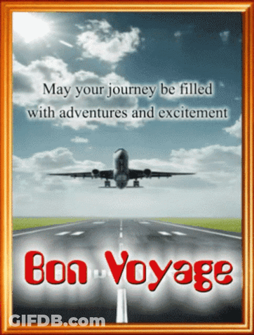Bon Voyage Mid Air Plane GIF
