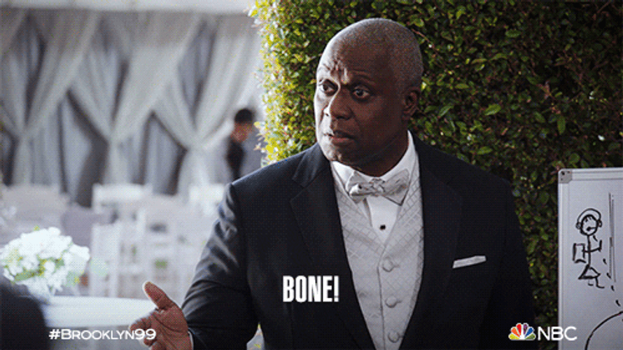 Bone Captain Ray Holt Brooklyn Nine Nine GIF