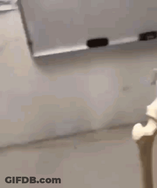 Bone Form Mewing Meme GIF