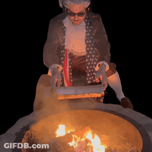 Bonfire Blazing Fire GIF