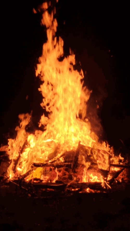 Bonfire Burn It GIF