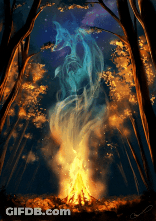 Bonfire Fox Spirit GIF