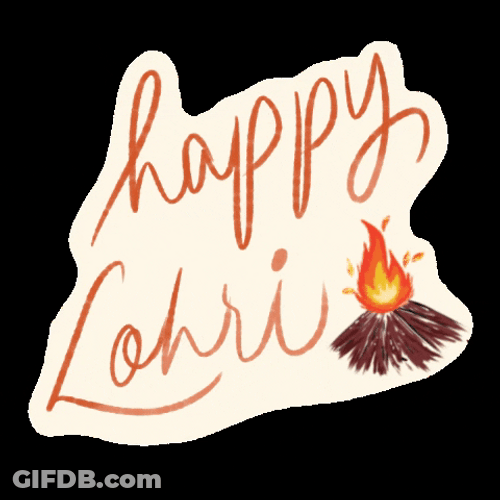Bonfire Happy Lohri Day GIF