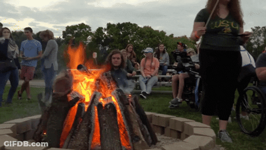 Bonfire Toasted Marshmallow Cooking GIF