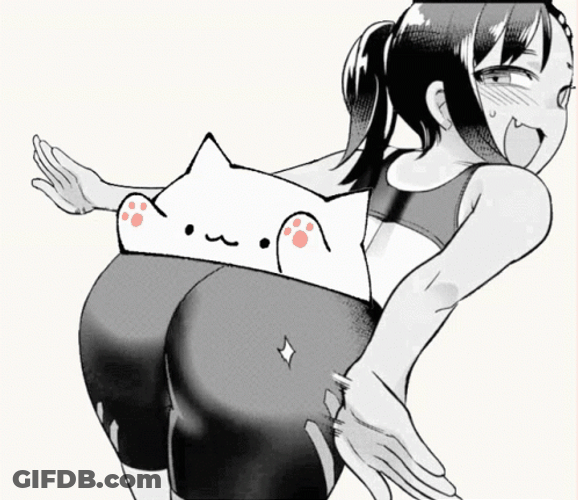 Bongo Cat GIF