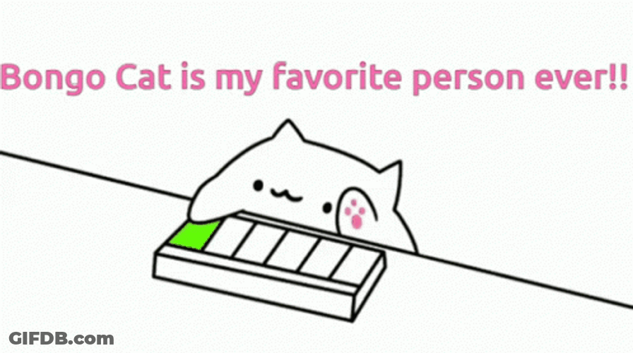 Bongo Cat Is My Favorite Person Ever GIF