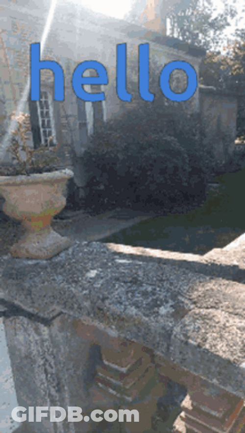 Bonjour Lady Wearing Face Mask GIF