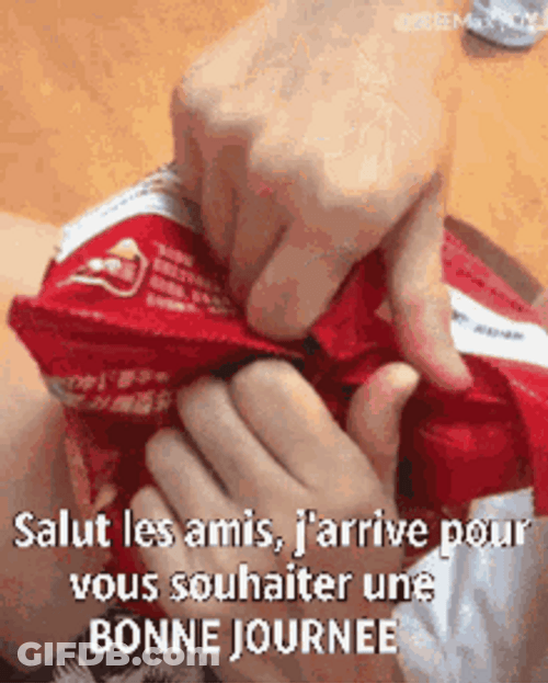 Bonjour Surprise Cat In Bag Of Chips GIF