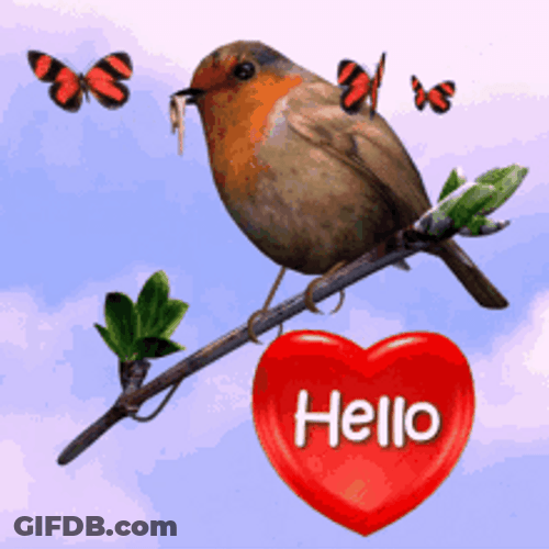 Bonjour Swaying Bird Computer Art GIF