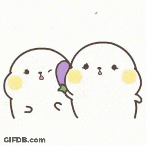 Bonk Seal GIF